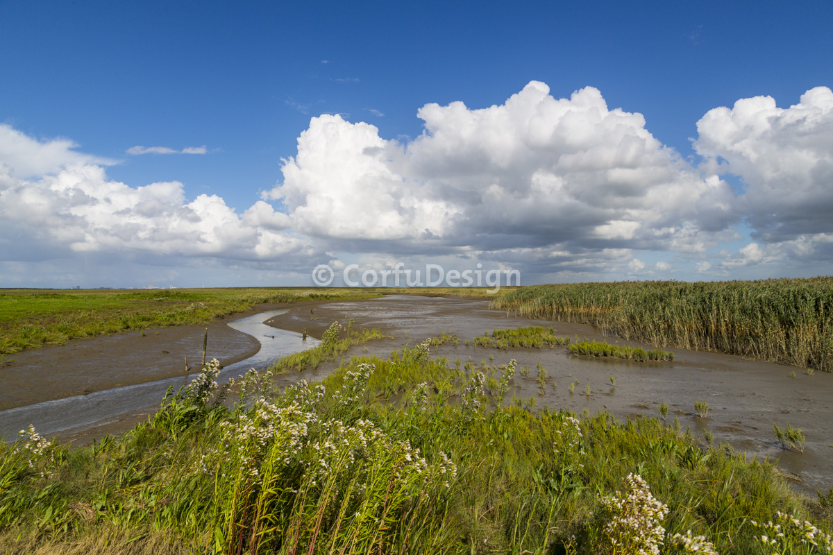 Carel Coenraadpolder