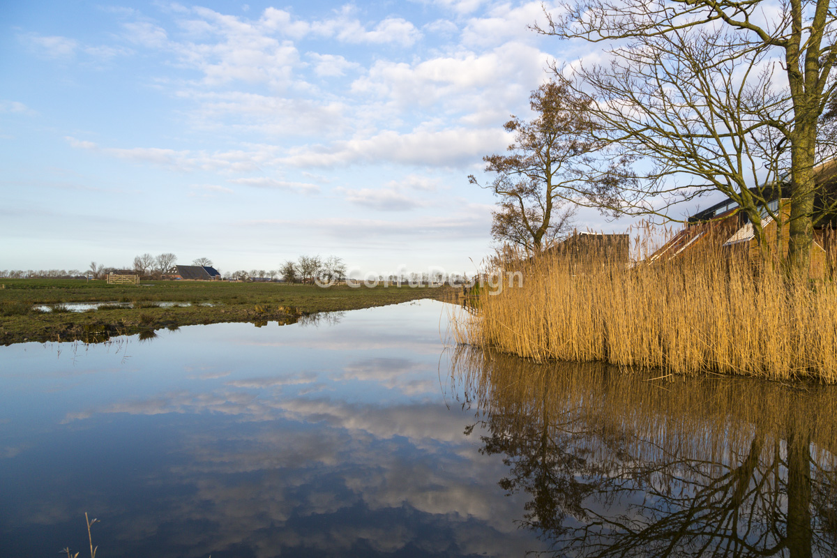 koningslaagte