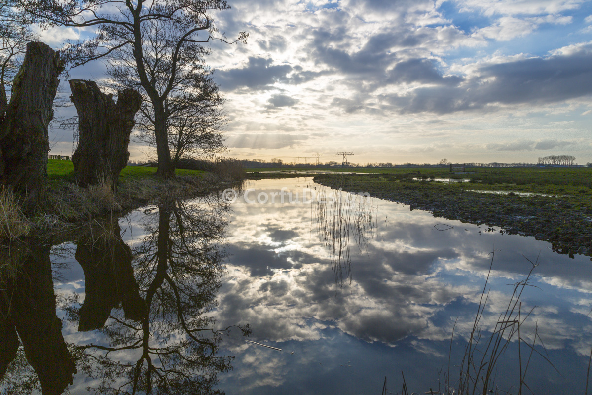 koningslaagte