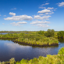 kropswolderbuitenpolder