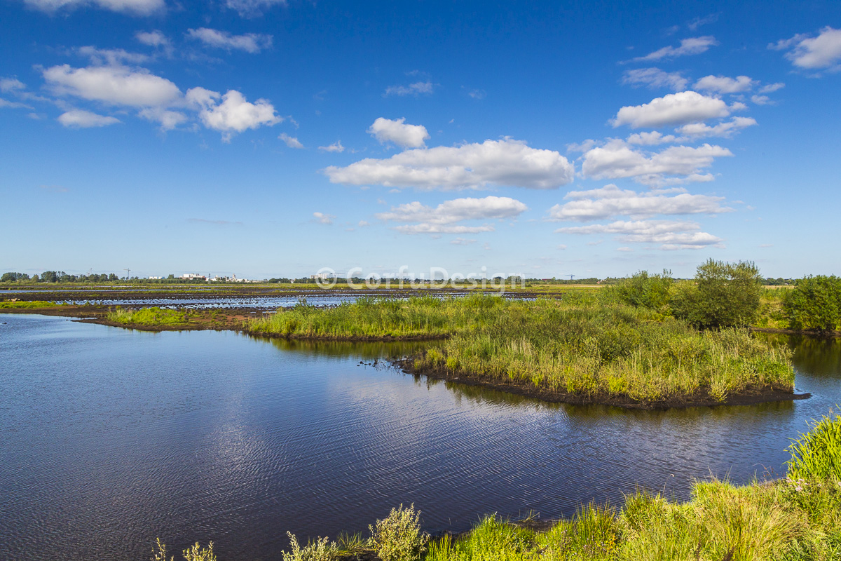 Kropswolderbuitenpolder