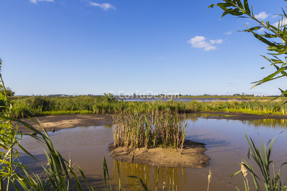 Kropswolderbuitenpolder