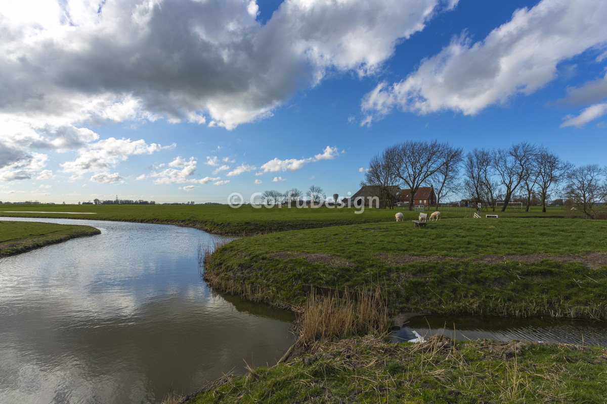 oldenzijl