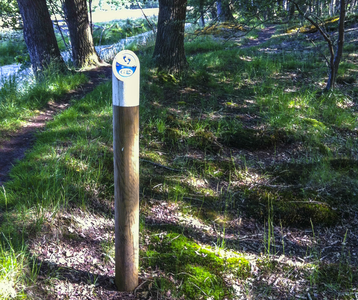 paaltje op Landgoed Coendersborch